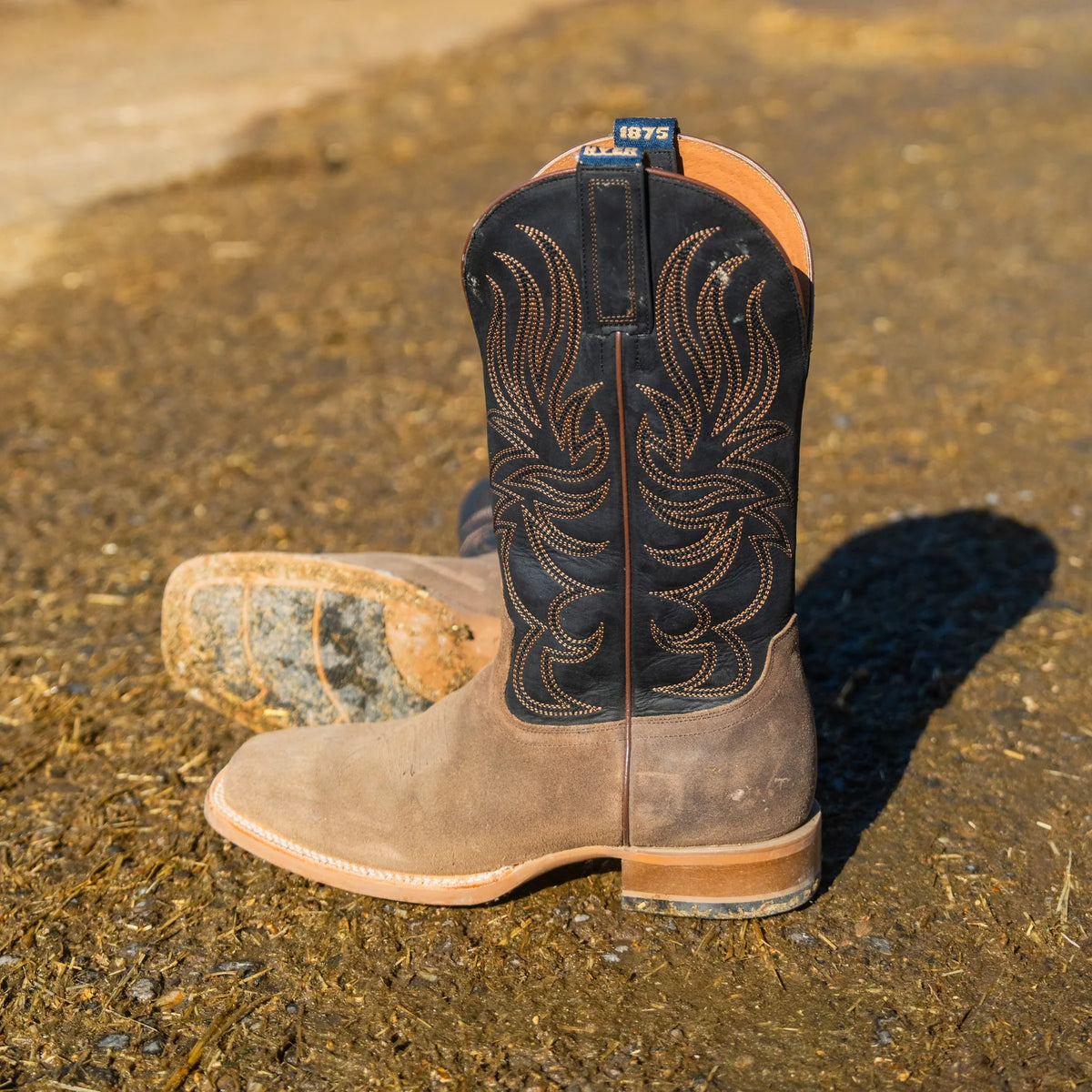 Hyer - Axtell Western Boot in Tan/Black