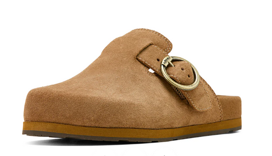 Ariat Country Mule (Women's)